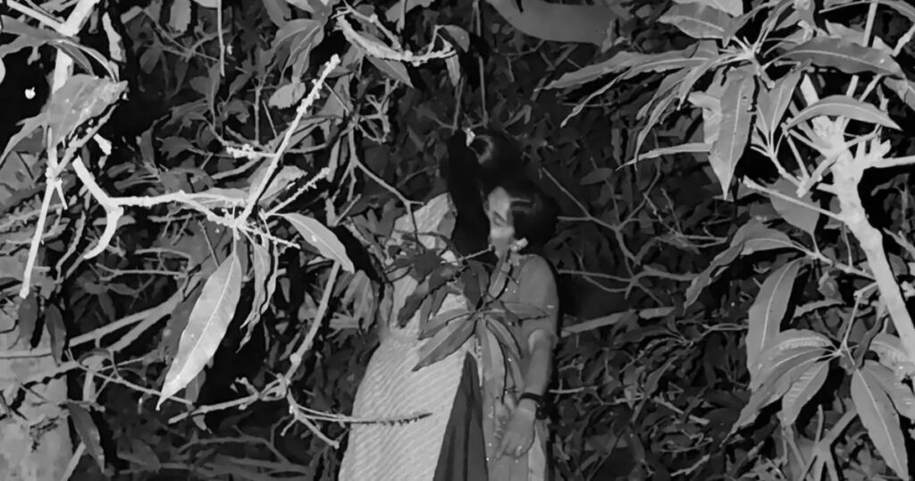 सर्लाहीमा दुई किशोरी झु*न्डिएको अवस्थामा मृ*त फेला