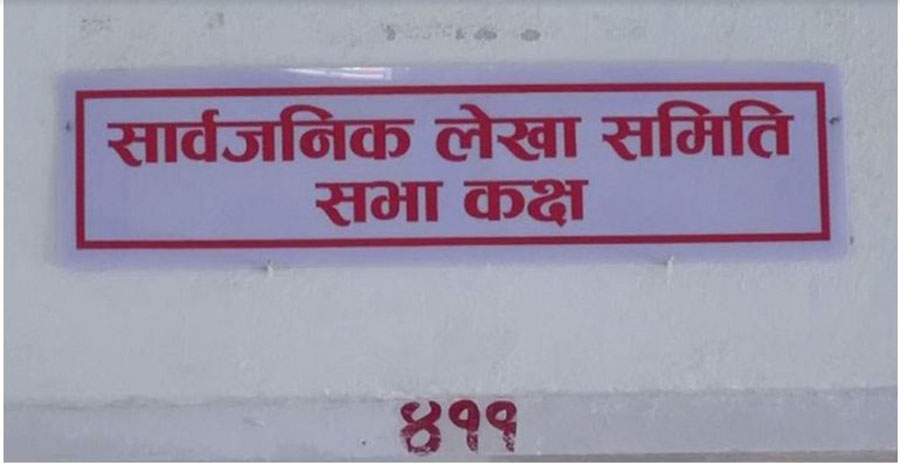 सार्वजनिक लेखा समितिको बैठक स्थगित