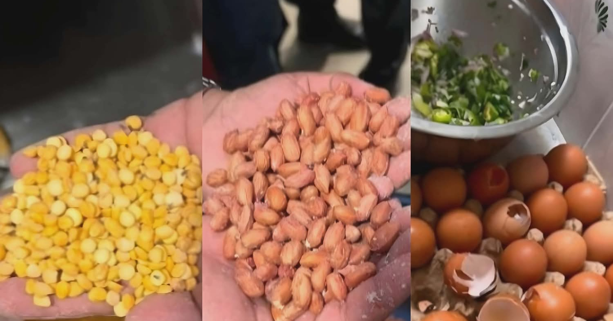सिंहदरबारको केन्द्रीय क्यान्टिनमा अखाद्य सामग्री फेला, २ लाख १ हजार रुपैयाँ जरिवाना