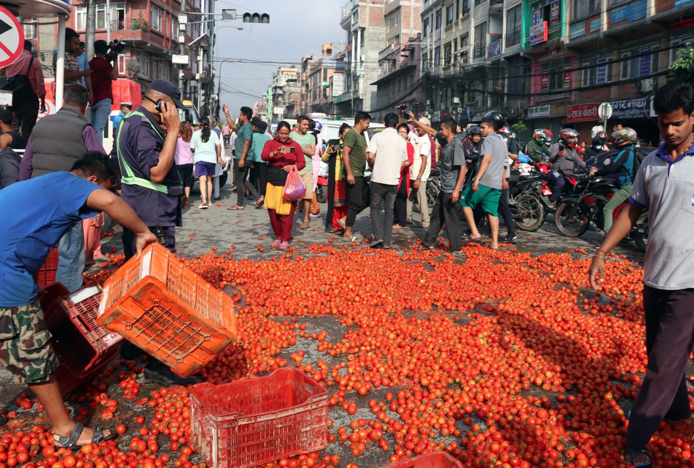 उचित मूल्य नपाएको भन्दै गोलभेँडा फ्याँकेर माइतीघरमा प्रदर्शन