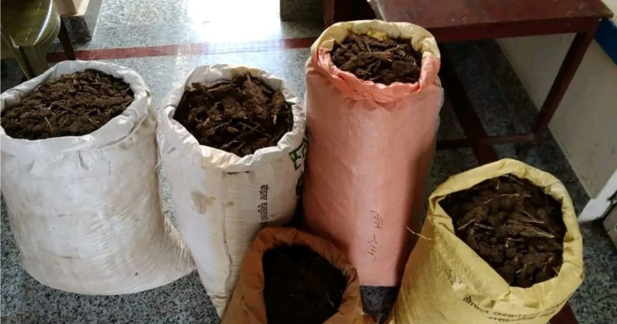 धनकुटामा ७१ किलो गाँजासहित २ जना पक्राउ