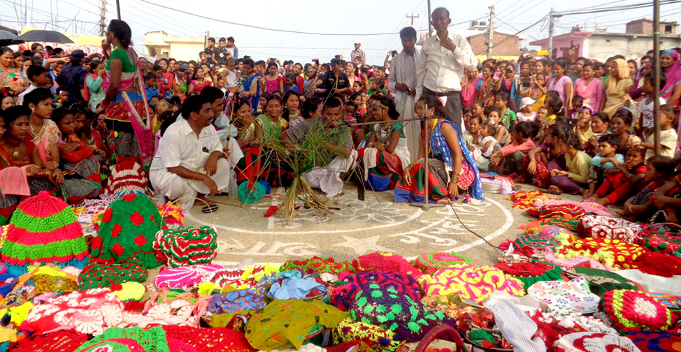 थारु समुदायको गुरिया पर्व मनाउँदै