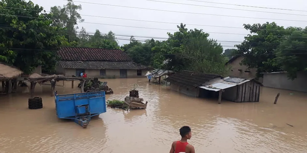 सप्तरीमा बाढी : ५०० घर डुबानमा, दुई हजारभन्दा बढी प्रभावित