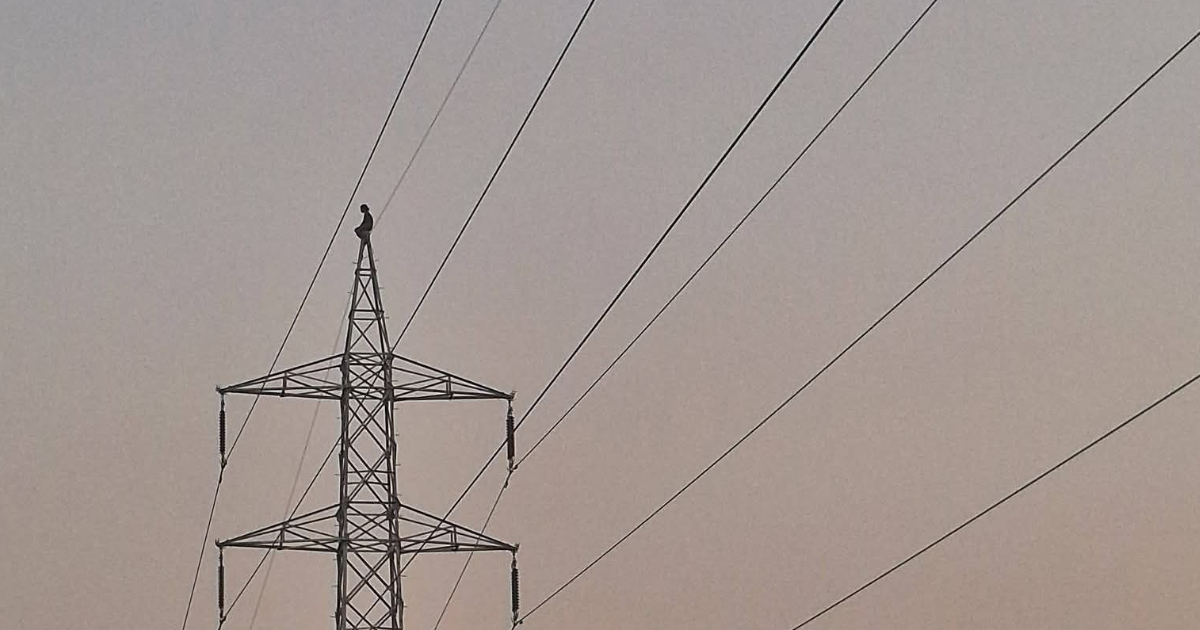 टावरमा युवती चढेपछि सर्लाहीका आधा दर्जनबढी पालिकामा विद्युत् अवरुद्ध